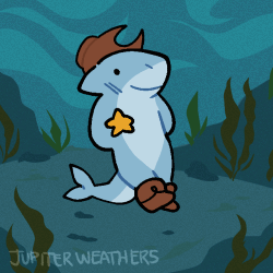 Shark Jig Shark Jig